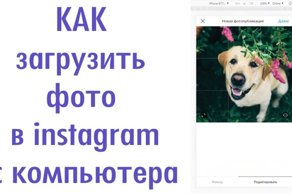 Сайт кракен через тор