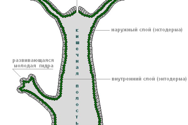 Кракен сайт kraken2