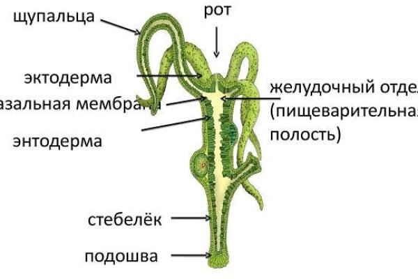 Кракен маркетплейс в тг