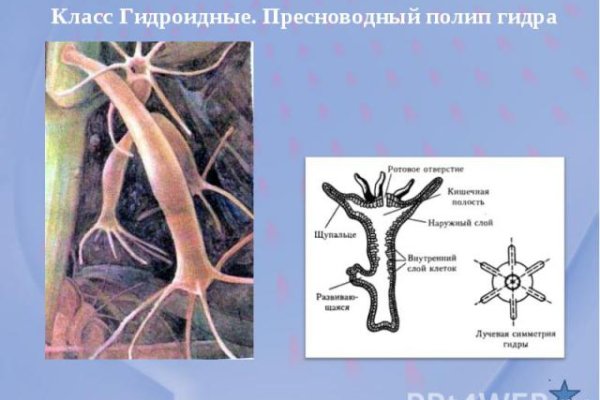 Кракен актуальные ссылки на сегодня