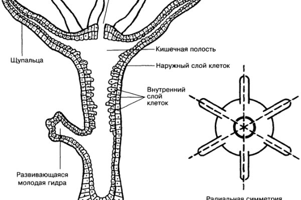 Кракен макет даркнет только через тор