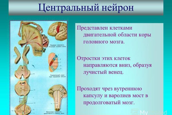 Кракен адрес даркнет