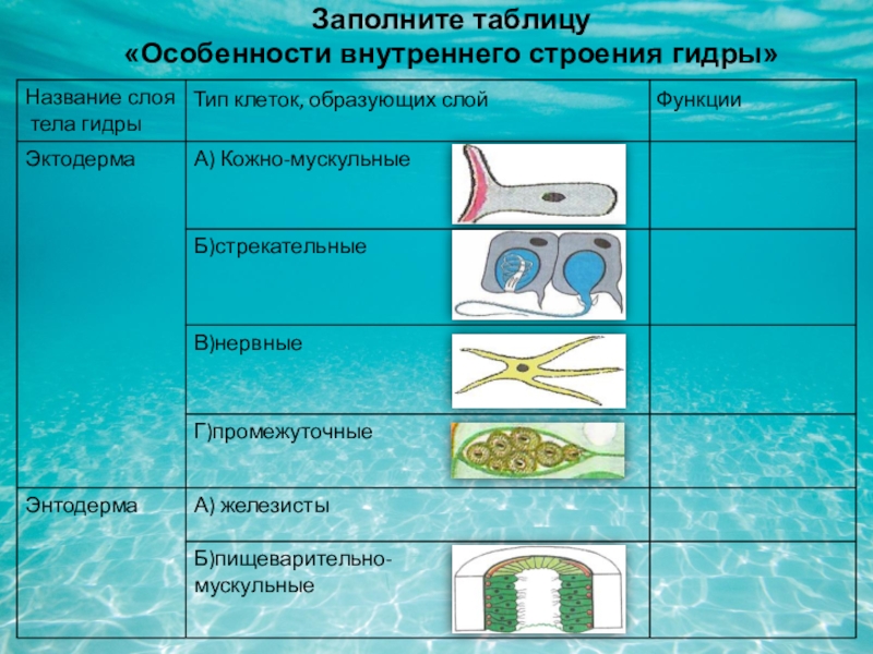 Даркнет каталог